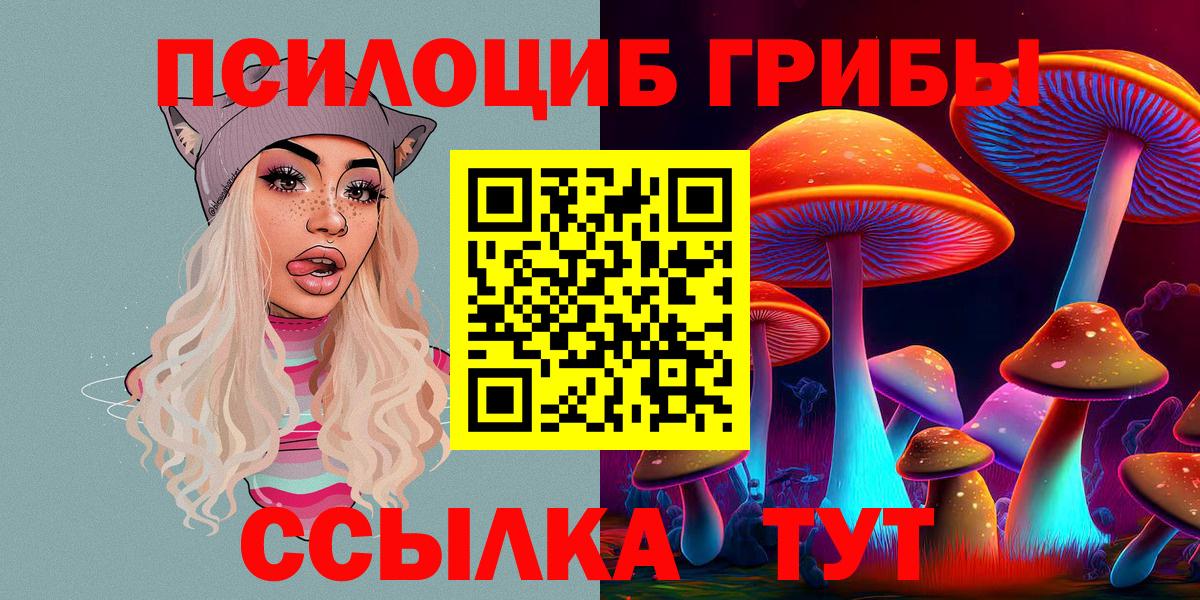 Галлюциногенные грибы прущие грибы  Вход с VPN  Минеральные Воды 